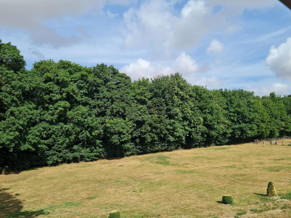 The Farmhouse - Linton Horseheath Εξωτερικό φωτογραφία